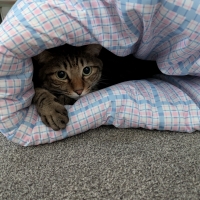 洗える　ふわふわトンネルお布団