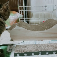 ごろん猫の爪とぎ　ナチュラル　木目調（インテリア 段ボール製)