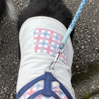 【PEPPY LIFE】抜けにくいショルダーハーネス