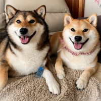 コトコト煮込んだ犬用ヤギミルクスープ
