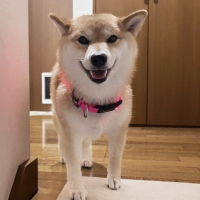 北の極 ごほうびソーセージ