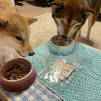 ＰＥＰＰＹ　ＬＩＦＥ　わんデリ(犬 トッピング）