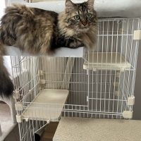 ケージ用ステップ(猫　ケージ)