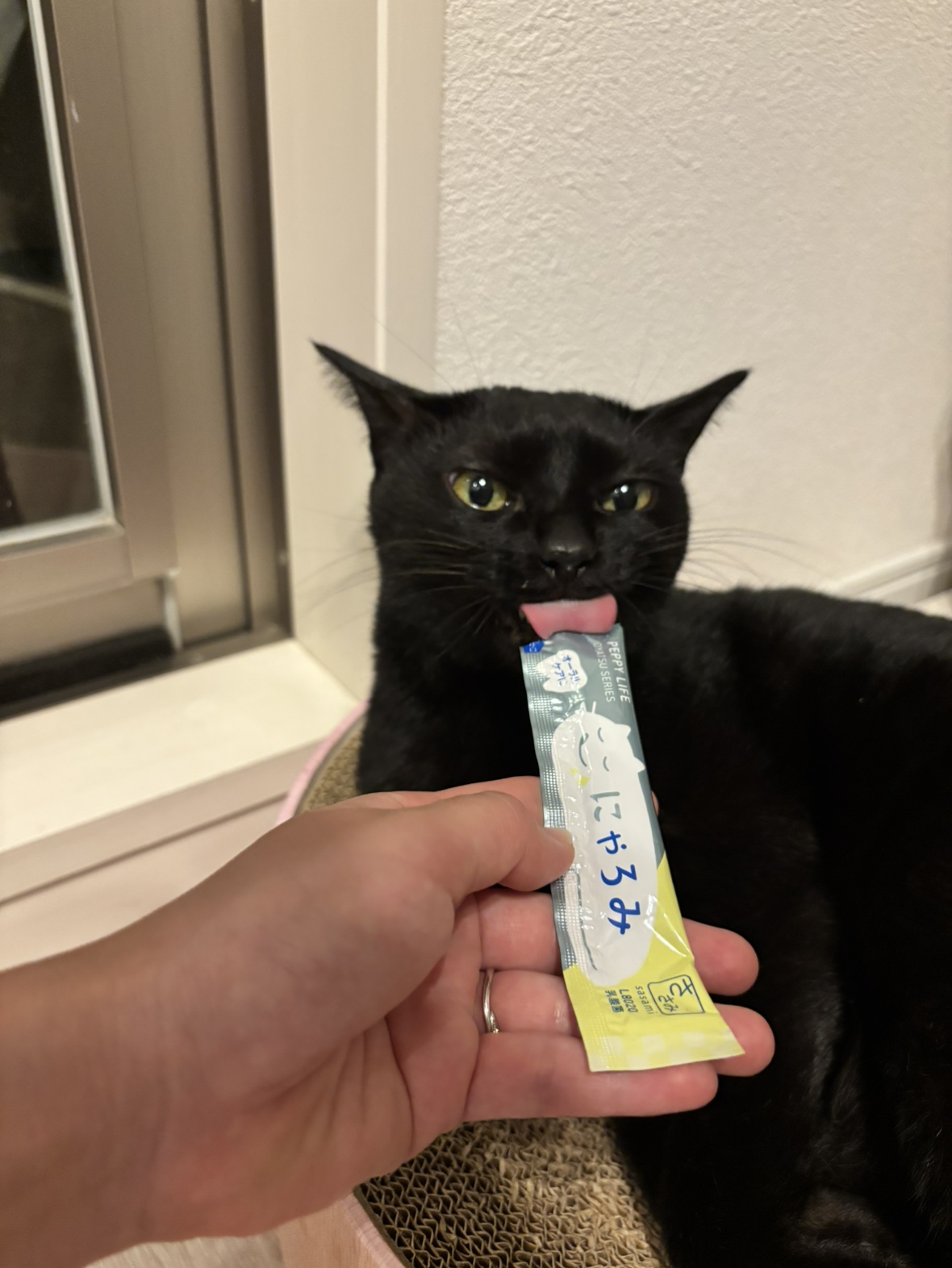 ＰＥＰＰＹ　ＬＩＦＥ　にゃろみ　Ｌ８０２０（オーラルケア）