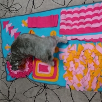 わんにゃんスナッフルマット