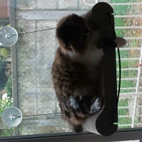 Ｋ＆Ｈ　ボードＥＺマウントスクラッチャー