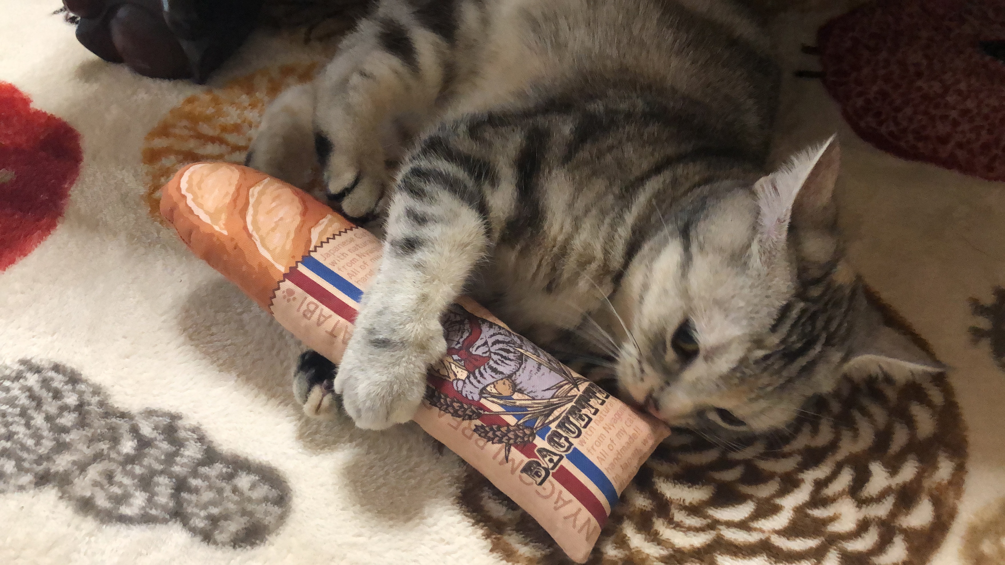 口コミ・レビュー｜にゃごみ処 またたび入り猫キッカー｜ 猫用おもちゃ 