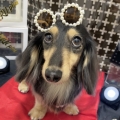 モデル気分