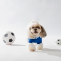 サッカーしようよ⚽️