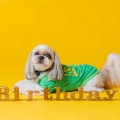HAPPYBirthday12歳