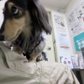ドキドキ・・・